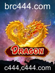 Descubra o Fascinante Mundo de 'Dragon': O Jogo Que Conquista Multidões