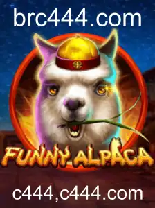 Explorando o Mundo Divertido de FunnyAlpaca: Um Guia Abrangente